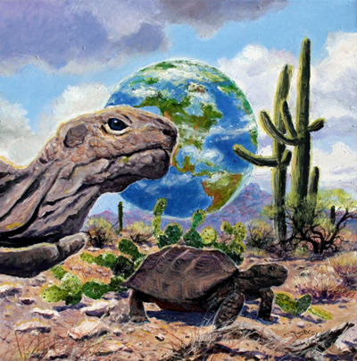 Tortoise