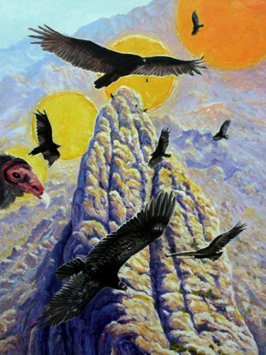 Turkey Vulture